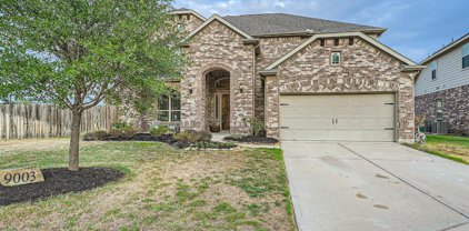 9003 Kerrisdale Court, Tomball