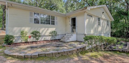 5 Natchez, Alexander