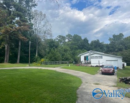 1710 Madison Street Sw, Hartselle