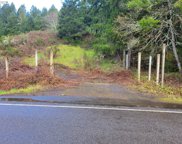 25797 SIUSLAW RIVER RD, Lorane image