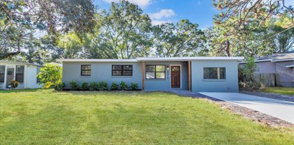 4016 W Lawn Avenue, Tampa