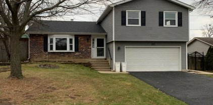 222 S Maplewood Lane, Bartlett