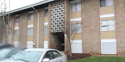 521 Wilson Bridge Dr Unit #6720 B-2, Oxon Hill