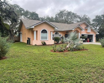 8430 Cranes Roost Drive, New Port Richey