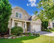 859 Ivy Trail  Way, Fort Mill image