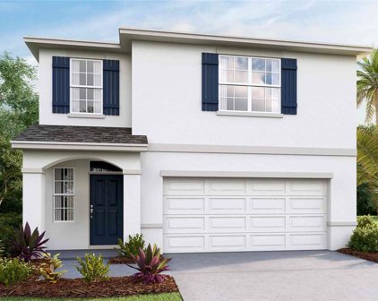 33913 Jasper Stone Drive, Wesley Chapel
