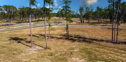 15756 Aniston Lane (LOT 23), Flint