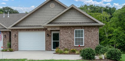 2781 Waters Place Drive, Maryville