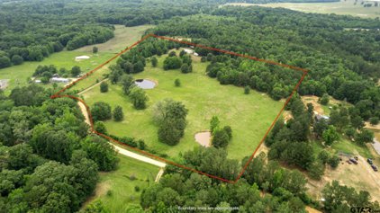 19570 County Road 2142, Troup