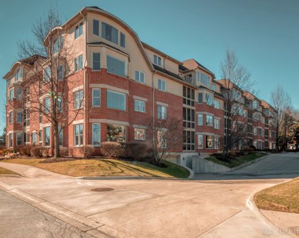 100 N River Lane Unit #206, Geneva