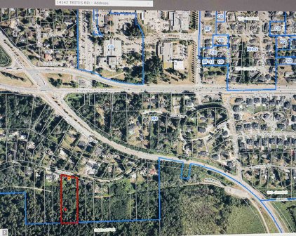 14142 Trites Road, Surrey