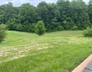 Lot 64 Cow Poke Lane, Rutledge image