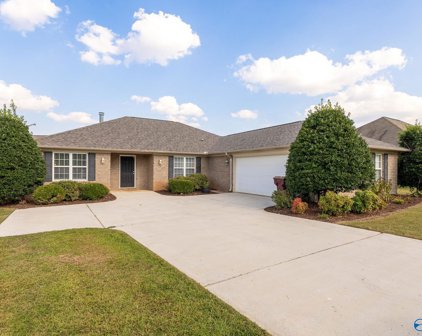 30086 Hardiman Road, Madison