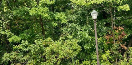 29 Shore  Drive, Wilson-294289