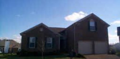 707 Amhearst Ct, Franklin