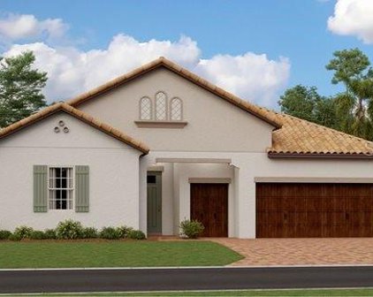 17305 Scuba Crest Drive, Wimauma