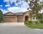 15649 Starling Water Drive, Lithia image