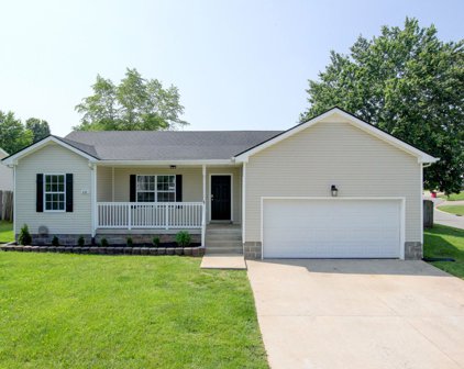 252 Senator Dr, Clarksville