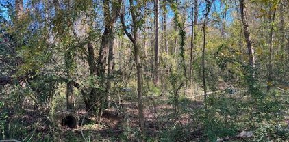0000 Lazy Creek Drive, New Caney