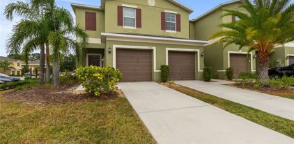 12963 Utopia Gardens Way, Riverview
