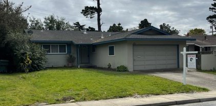 2541 Evergreen DR, San Bruno
