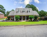 9 Shanna, Maumelle image