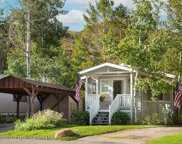 64 Bear Trail, Aspen image