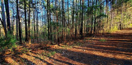 8714 Brookgreen  Drive Unit #1, Charlotte