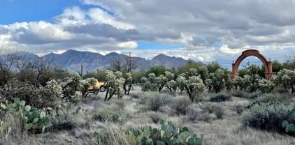 W Moore, Oro Valley