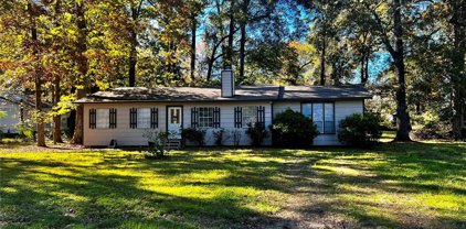19276 Forest Lane Cir, New Caney