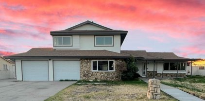 410 Cotton, Buttonwillow