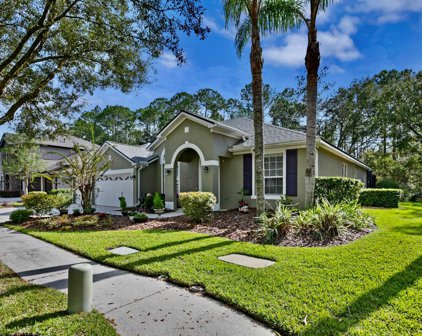 16132 Colchester Palms Drive, Tampa