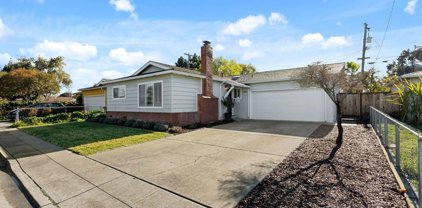 5036 Silver Reef Dr, Fremont