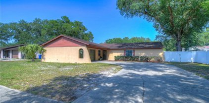 1022 Lake Haven Drive, Lutz