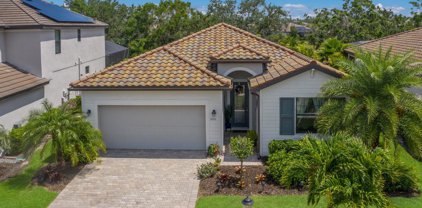 17111 Blue Ridge Place, Lakewood Ranch