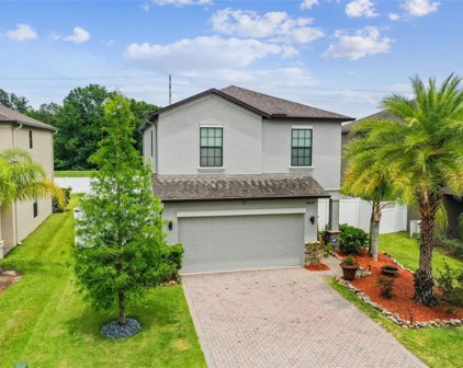 20027 Satin Leaf Avenue, Tampa