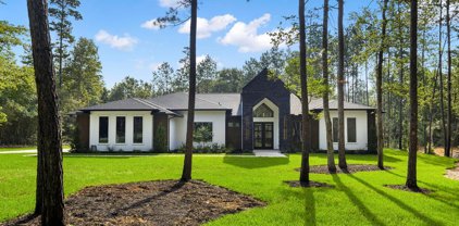 15868 Wooded Trail Way, Willis