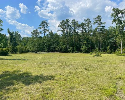 Lot 20 Paradise Ln., Georgetown