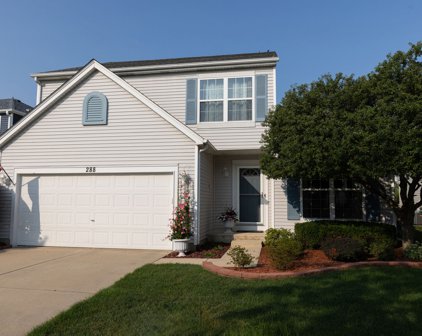 288 W Daisy Circle, Romeoville