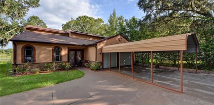 20258 Lakes Edge Lane, Lutz