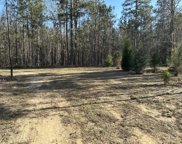 490 Falling Leaves Trail, Bonneau image