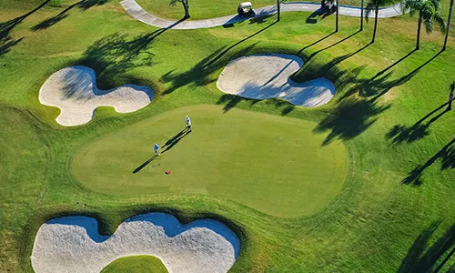 Talis Park Homes for Sale