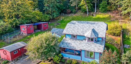 93030 APPLEGATE, Junction City