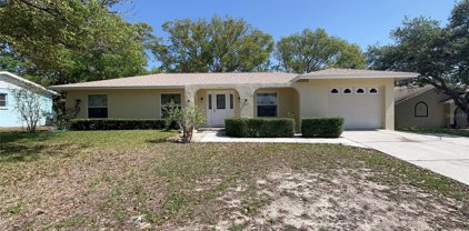 4466 Chamber Court, Spring Hill