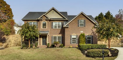 1815 Moss View Lane, Knoxville