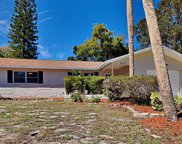 2517 Bramblewood Drive W, Clearwater image