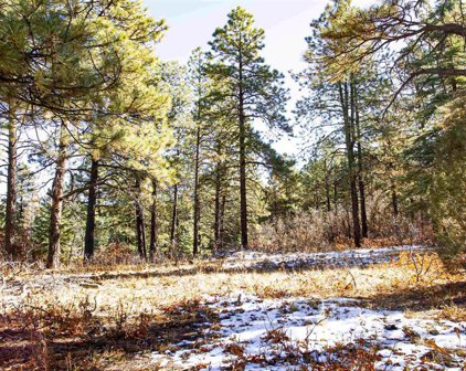 3292 Bull Elk, Pagosa Springs