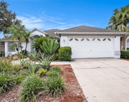 18506 Otterwood Avenue, Tampa image