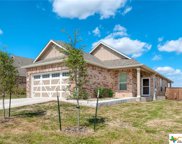 509 Lady Swiss Lane, Hutto image