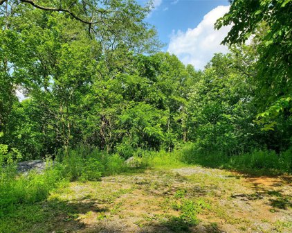 999 Buck Scrape  Road, Marshall
